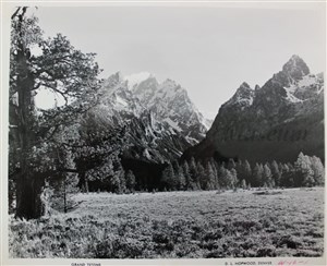 Image description is not available for 2007.037